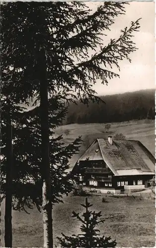 .Baden-Württemberg Schwarzwald (Mittelgebirge) Schwarzwaldhof 1963