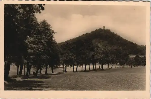 Postcard Böhmisch Leipa Česká Lípa Weg zum Spitzberg 1932