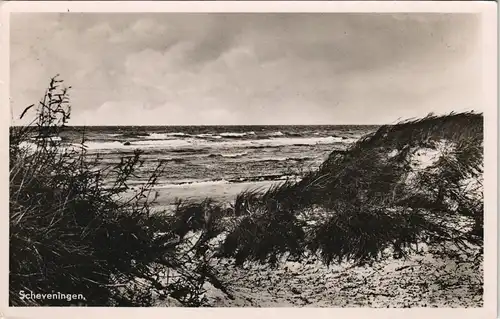 Postkaart Scheveningen-Den Haag Den Haag Wilder Strand und Dünen 1955