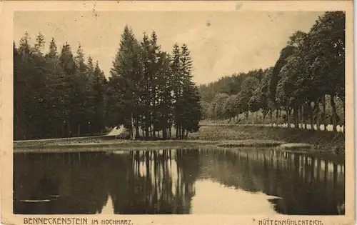 Ansichtskarte Benneckenstein HÜTTENMÜHLENTEICH Harz 1925