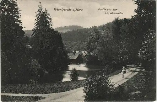 Ansichtskarte Wernigerode Partie aus dem Christianental 1910/1907