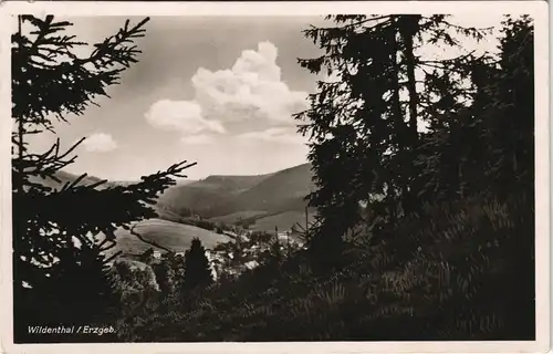 Ansichtskarte Wildenthal-Eibenstock Panorama-Ansicht, Erzgebirge 1940