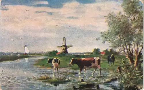 Ansichtskarte  Windmühlen und Kühe, gel Stempel Velten 1913