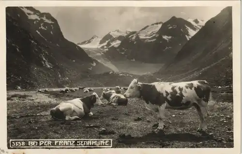 Ansichtskarte Sölden (Ötztal) Kühe an der Franz Sennhütte 1928
