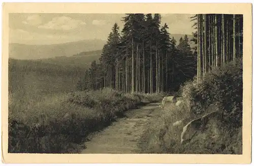 Brückenberg-Krummhübel Karpacz Górny Karpacz Teichmannbaude zur Schneekoppe 1928