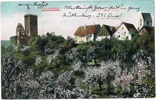 Ansichtskarte Bad Teinach-Zavelstein Stadt - Baumblüte 1913