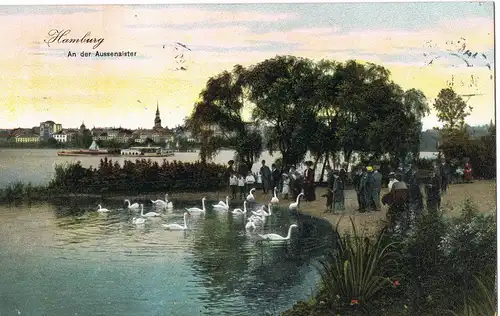 AK Hamburg Außenalster, Fütterung  Schwäne 1910 gel. Rollstempel Hamburg 1