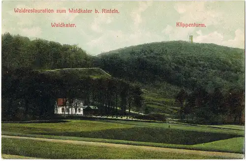 Ansichtskarte Rinteln Waldrestauration zum Waldkater 1907  gel. Bahnpost-Stempel