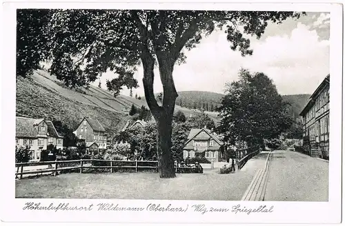 Ansichtskarte Wildemann (Innerstetal) Weg zum Spiegeltal 1939