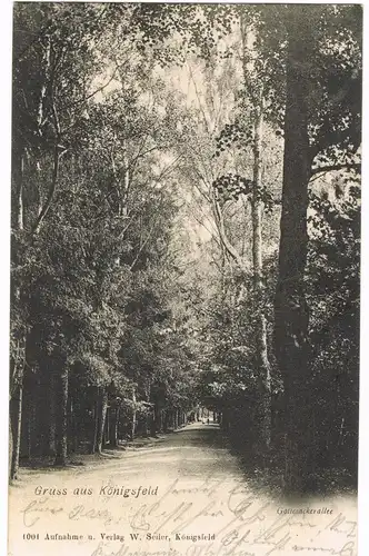 Königsfeld im Schwarzwald Gottesackeralle 1903  gel. Ankunftsstempel Tuttlingen
