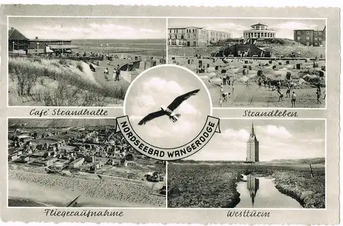 Ansichtskarte Wangerooge Cafe Strandhalle, Möwe, Luftbild 1958