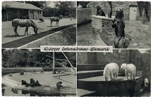Ansichtskarte Gelsenkirchen Mehrbild-AK Ruhrzoo OT Bismarck, div. Tiere 1961
