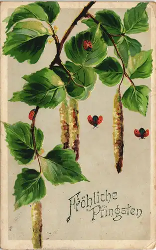 Marienkäfer an Birke Pfingsten Präge-Künstlerkarte 1913 Prägekarte