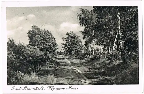 Ansichtskarte Bad Bramstedt Umlandansicht Weg Zum Moor 1952