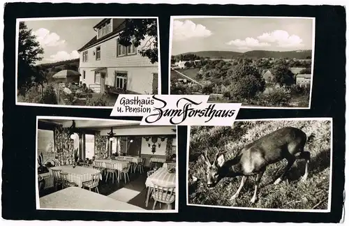 Erzbach-Reichelsheim (Odenwald) Mehrbild-AK Gasthaus Pension ZUM FORSTHAUS 1965