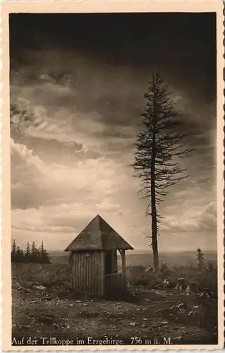 Kipsdorf-Altenberg (Erzgebirge) Tellkoppe, Häuschen - Stimmungsbild 1930
