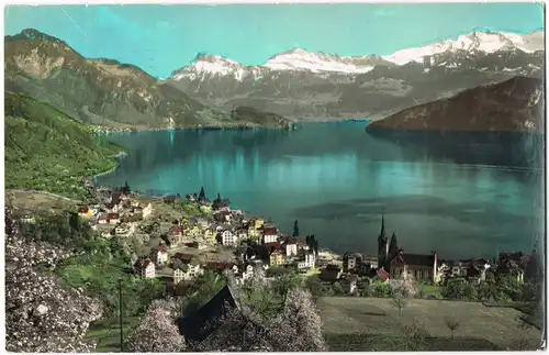 Ansichtskarte Weggis Panorama-Ansicht Ort, Alpen und See 1963