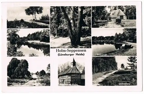 Ansichtskarte Holm-Seppensen Pferdekopf, Schafstall, Badeteich uvm. 1962