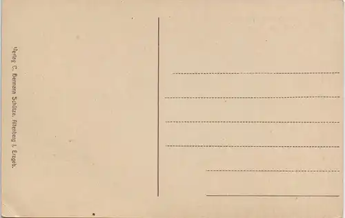 Schellerhau-Altenberg (Erzgebirge) Panorama-Ansicht, Ort im Erzgebirge 1910