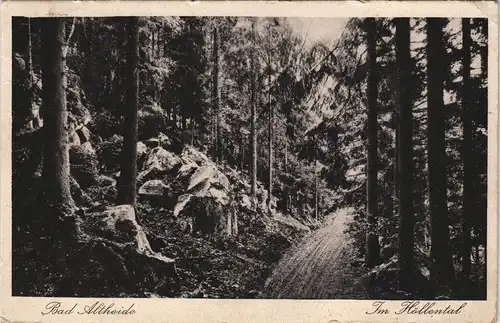 Postcard Bad Altheide Polanica-Zdrój Wald Partie Im Höllental 1927