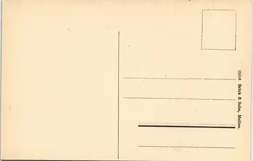 Ansichtskarte Rosswein/ Roßwein Birkenallee a.d. Hartenberg 1913