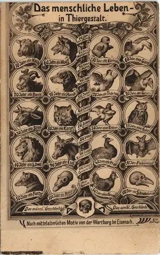 Ansichtskarte Eisenach Das menschliche Leben in Thiergestalt Wartburg 1909