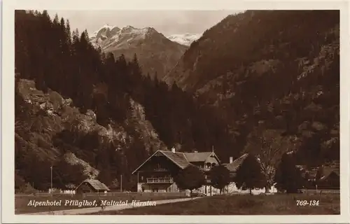 Malta (Kärnten) Maltatal-Spittal an der Drau Alpenhotel Pflüglhof 1930