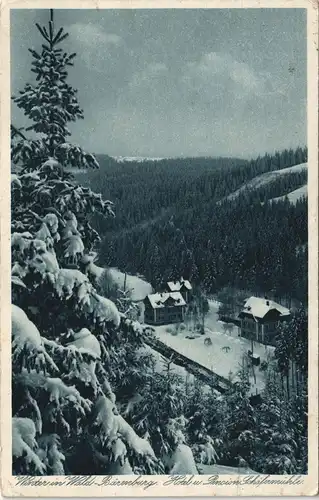Waldbärenburg-Altenberg (Erzgebirge) Hotel Pension Schäfermühle im Winter 1928