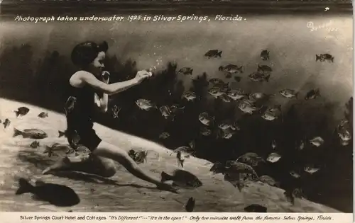 Silver Springs (Florida) Mädchen taucht mit Fischen - underwater Phot 1925