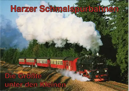 Ansichtskarte  Harzquerbahn / Harzbahn - Benneckenstein Tiefenbachmühle 2001
