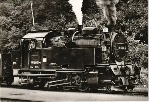 Lokomotive Harzbahn DAMPFLOKOMOTIVE Baureihe 99 Dampf-Lok DDR Fotokarte 1970