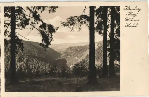 Ansichtskarte Ilsenburg (Harz) Blick ins Ilsetal 1936