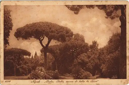 Cartoline Neapel Napoli Park Partie, Bäume & Landschaft 1920