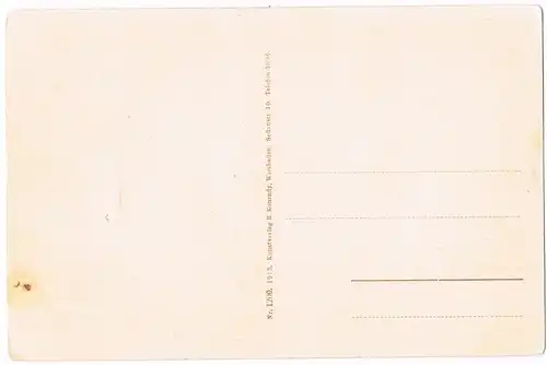 Ansichtskarte Traunstein Panorama (Teilansicht) vom Prinz Ludwig-Heim 1920