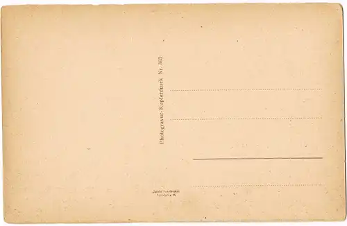 Ansichtskarte Frankfurt am Main Panorama-Ansicht Partie am Zoll Main 1920