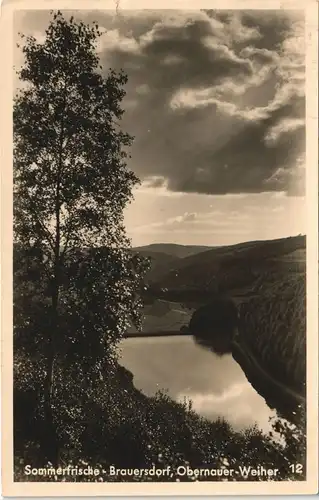 Ansichtskarte Brauersdorf-Pressing Obernauer Wasserfall 1928