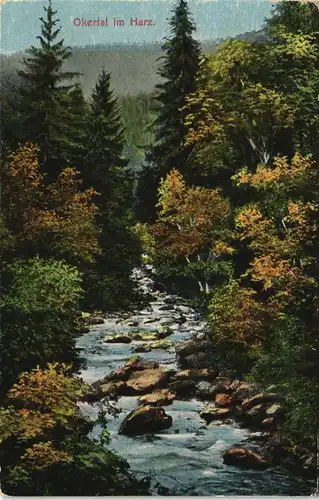 Ansichtskarte Oker-Goslar Partie im Okertal - Werbung Villa Helene 1912