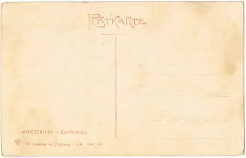 Ansichtskarte Moritzburg Umland-Ansicht Tiere Eber-Fütterung 1906