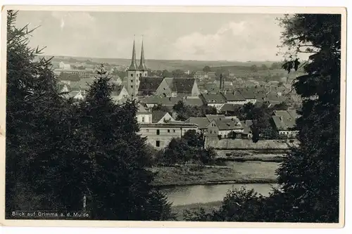 Ansichtskarte Grimma Blick auf... 1934 #