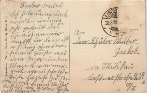 Postcard Sorau Żary Stadtpark 1918