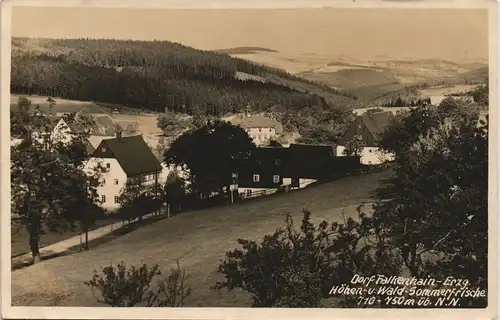 Ansichtskarte Falkenhain (Erzgebirge)-Altenberg (Erzgebirge) Dorfpartie 1931