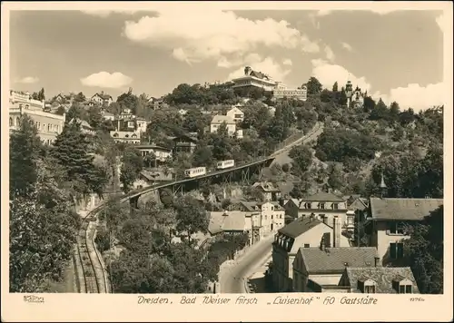 Loschwitz-Dresden Schwebebahn mit Blick zum Luisenhof 1955 Walter Hahn:12754