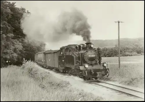 .Mecklenburg-Vorpommern Schmalspurbahn Putbus-Göhren, Steigung vor Garftitz 1984