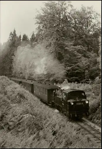 Schmalspurbahn Putbus-Göhren Bahn kurz vor dem Jagdschloß 1984