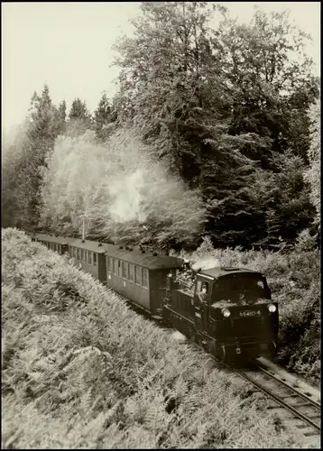 Schmalspurbahn Putbus-Göhren bei Granitz kurz vor Jagdschloß 1977
