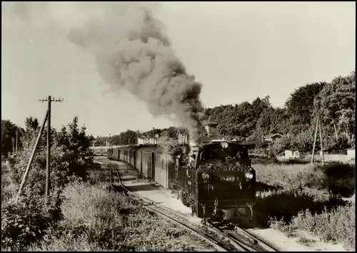 Schmalspurbahn Putbus-Göhren Bäderzug b.d. Ausfahrt aus Putbus 1977