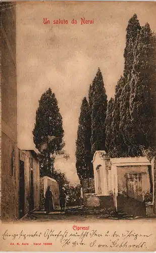 Cartoline Nervi-Genua Genova (Zena) Straße - Cipressi 1912