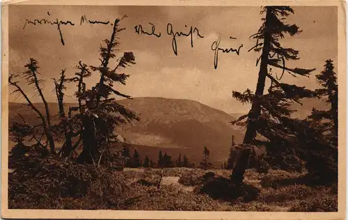 Petzer Pec pod Sněžkou Studniční hora - Brunnberg, Brunnenberg 1921