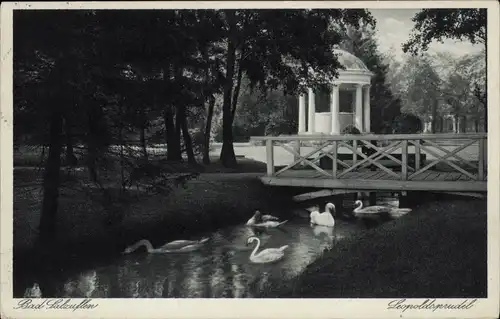 Ansichtskarte Bad Salzuflen Leopoldssprudel - Brücke, Schwäne 1937