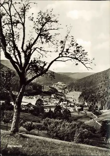 Ansichtskarte Bad Herrenalb Panorama-Ansicht 1960